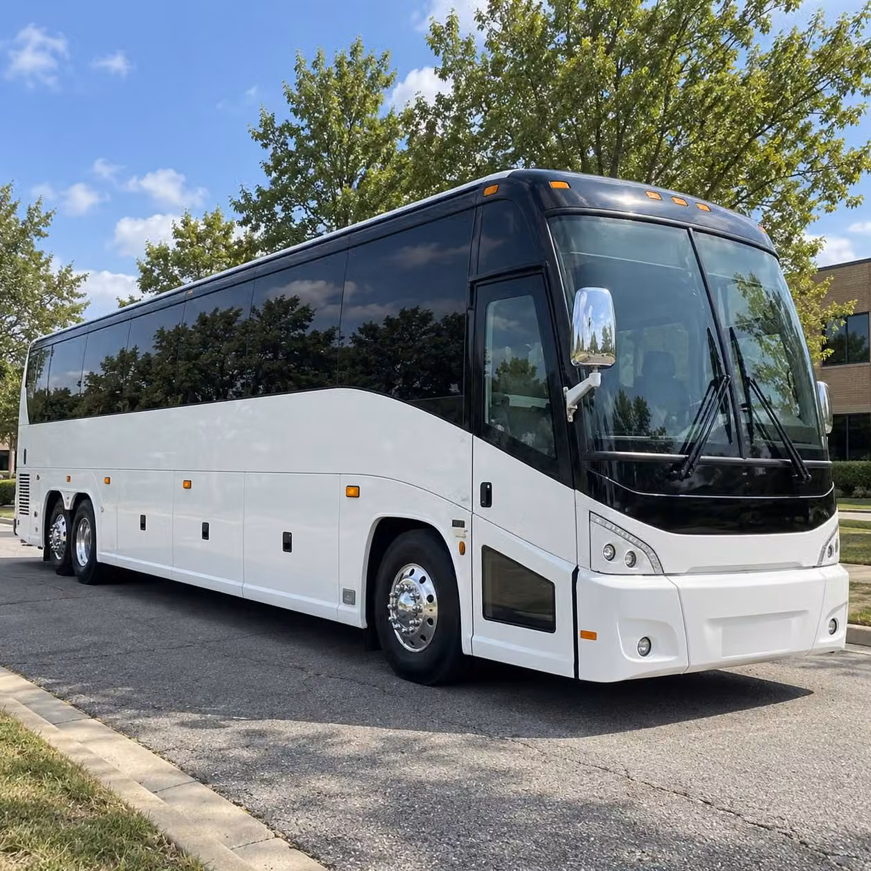 it just got easier to book zoo miami and aquarium field trips from pembroke pines